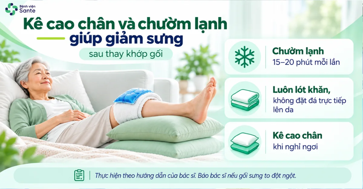 Kê cao chân và chườm lạnh 15-20 phút đúng cách giúp giảm sưng đau sau mổ thay khớp gối