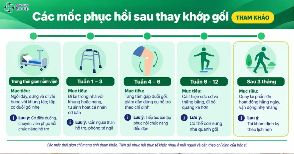 Sau Thay Khớp Gối Bao Lâu Thì Đi Được? Các Mốc Phục Hồi & Bài Tập Chuẩn Y Khoa