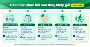 How Long Until You Can Walk After Knee Replacement? Recovery Timeline & Medical Exercises
