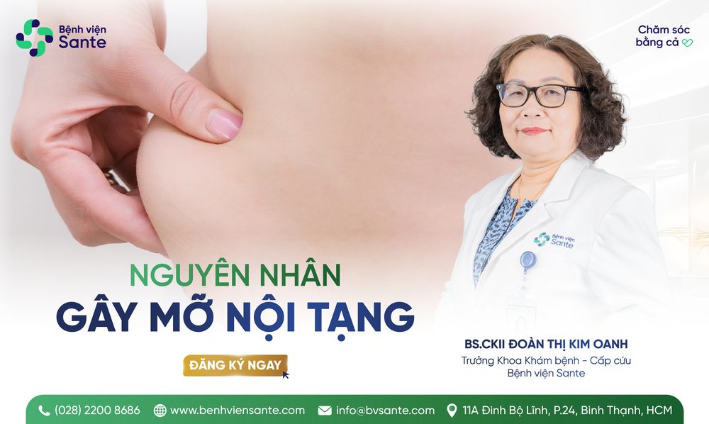 NGUYÊN NHÂN GÂY MỠ NỘI TẠNG