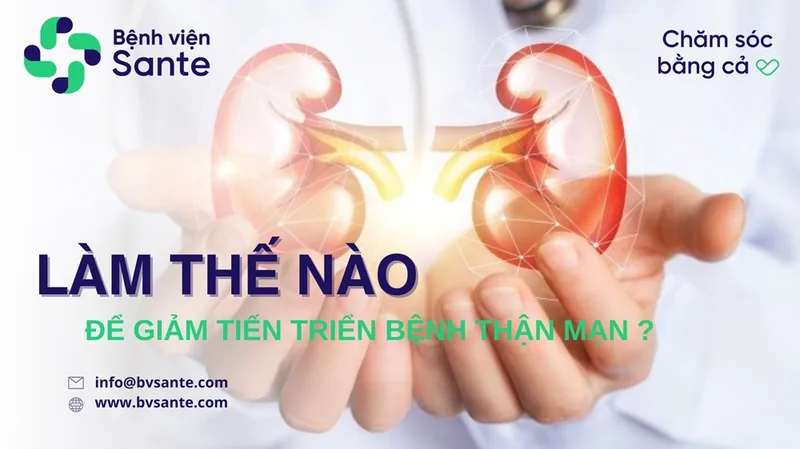 Làm thế nào để giảm tiến triển bệnh thận mạn - Bệnh viện SANTE Bình Thạnh, TP.HCM